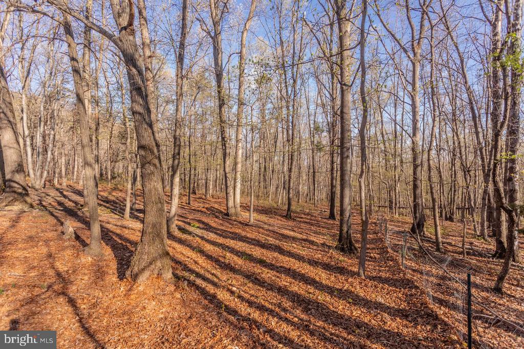 160 GALE LN, STANLEY, Virginia 22851, 2 Bedrooms Bedrooms, ,2 BathroomsBathrooms,Residential,160 GALE LN,VAPA2006282 MLS # VAPA2006282 160 GALE LN, STANLEY, Virginia 22851, 2 Bedrooms Bedrooms, ,2 BathroomsBathrooms,Residential,160 GALE LN,VAPA2006282 MLS # VAPA2006282