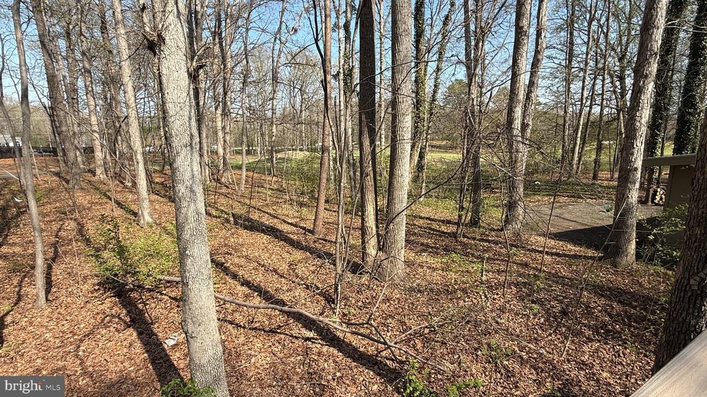 533 MOUNT PLEASANT DR, LOCUST GROVE, Virginia 22508, 3 Bedrooms Bedrooms, ,2 BathroomsBathrooms,Residential,533 MOUNT PLEASANT DR,VAOR2013820 MLS # VAOR2013820