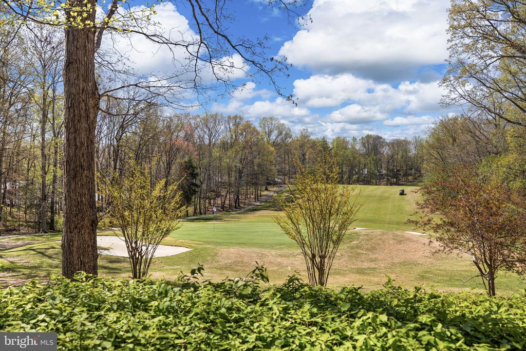 111 CHESTERFIELD CT, LOCUST GROVE, Virginia 22508, 3 Bedrooms Bedrooms, ,3 BathroomsBathrooms,Residential,111 CHESTERFIELD CT,VAOR2013810 MLS # VAOR2013810