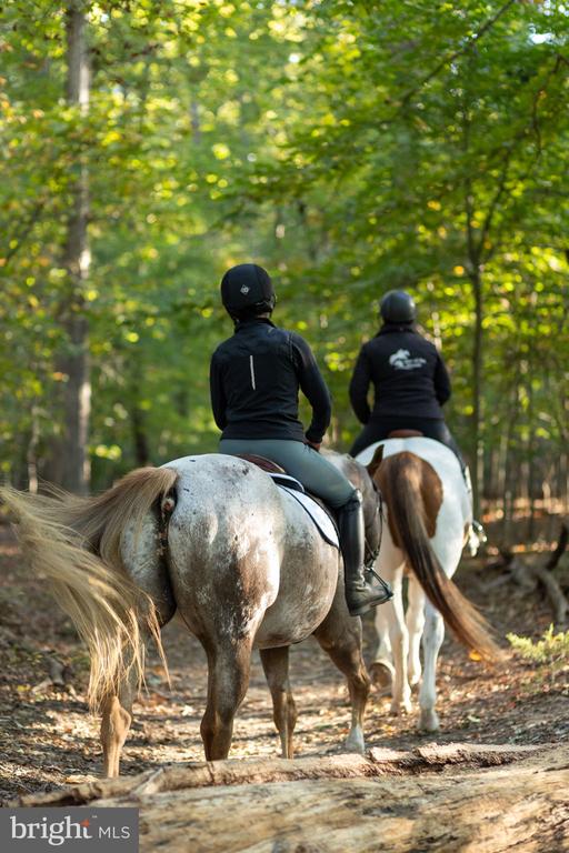 111 CHESTERFIELD CT, LOCUST GROVE, Virginia 22508, 3 Bedrooms Bedrooms, ,3 BathroomsBathrooms,Residential,111 CHESTERFIELD CT,VAOR2013810 MLS # VAOR2013810