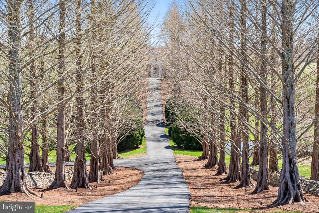 2547 HALFWAY RD, THE PLAINS, Virginia, 5 Bedrooms Bedrooms, ,5 BathroomsBathrooms,Residential,2547 HALFWAY RD,VAFQ2021476 MLS # VAFQ2021476 2547 HALFWAY RD, THE PLAINS, Virginia, 5 Bedrooms Bedrooms, ,5 BathroomsBathrooms,Residential,2547 HALFWAY RD,VAFQ2021476 MLS # VAFQ2021476