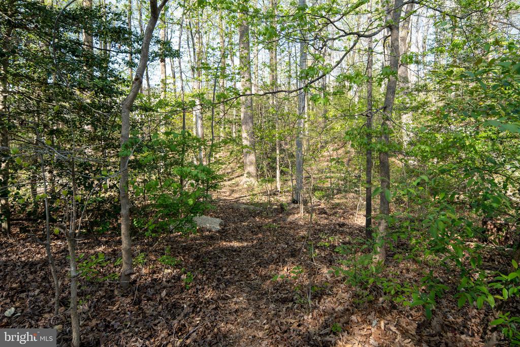 11212 PIEDMONT LANDING DR, FREDERICKSBURG, Virginia 22407, 4 Bedrooms Bedrooms, ,3 BathroomsBathrooms,Residential,11212 PIEDMONT LANDING DR,VASP2040458 MLS # VASP2040458