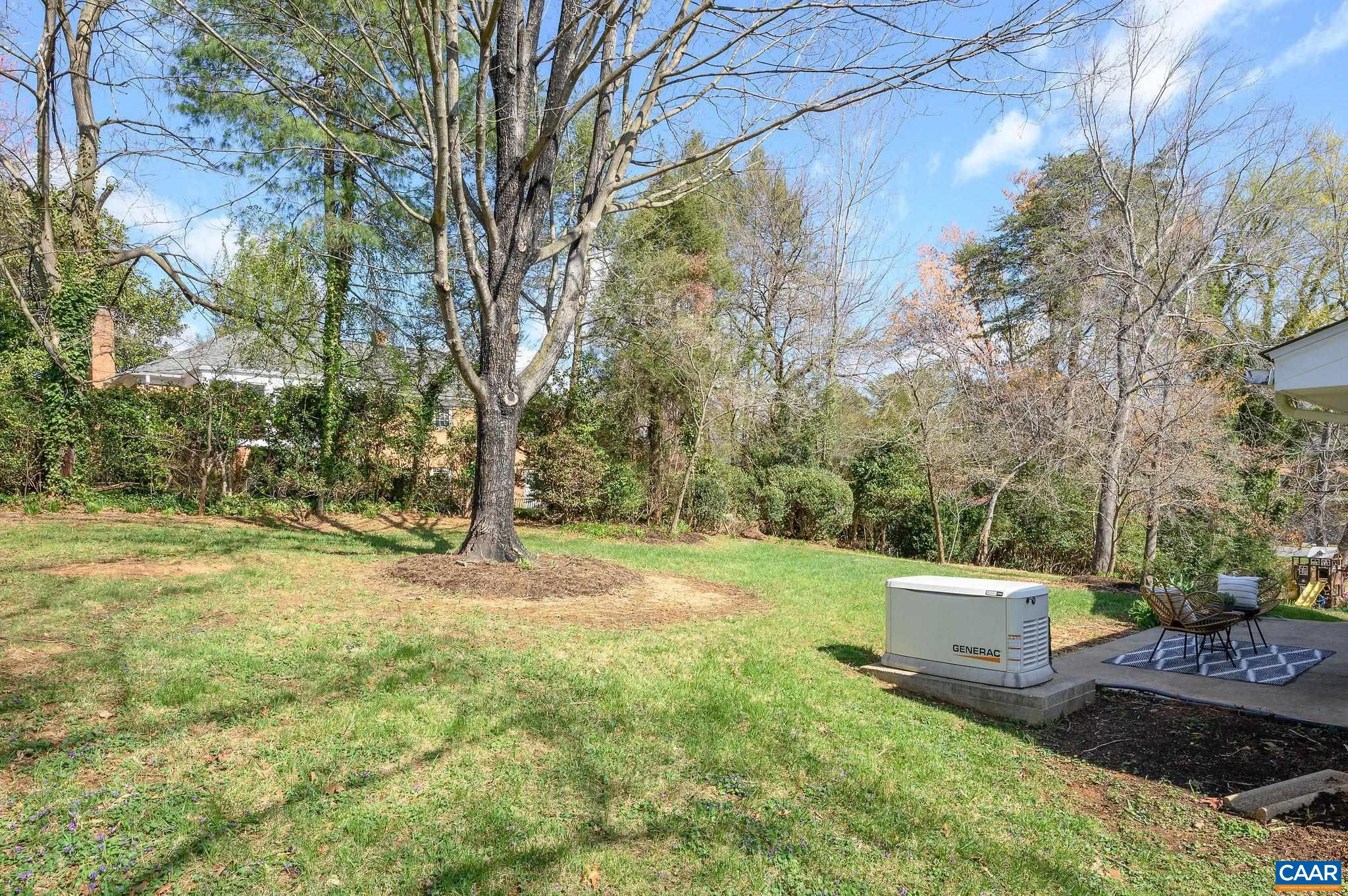 whole house generator