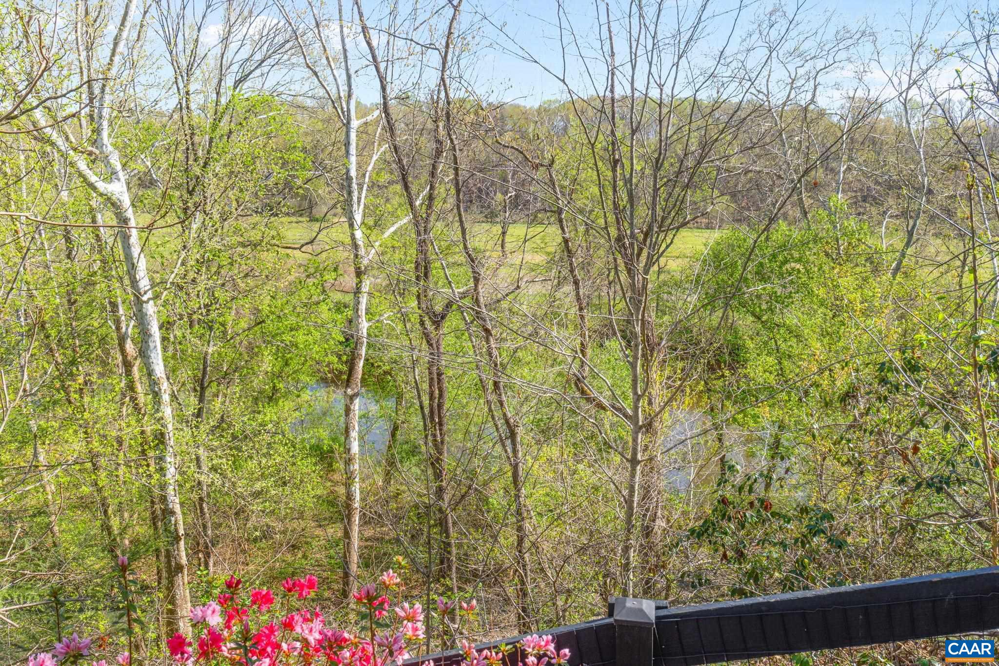 10 MECHUNK TER, PALMYRA, Virginia 22963, 3 Bedrooms Bedrooms, ,2 BathroomsBathrooms,Residential,10 MECHUNK TER,675489 MLS # 675489 10 MECHUNK TER, PALMYRA, Virginia 22963, 3 Bedrooms Bedrooms, ,2 BathroomsBathrooms,Residential,10 MECHUNK TER,675489 MLS # 675489