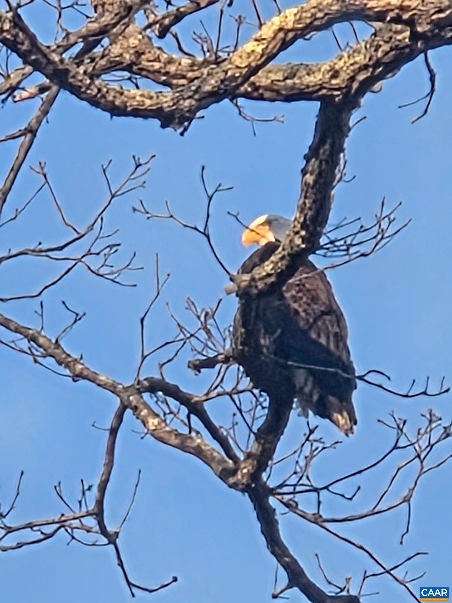 10 MECHUNK TER, PALMYRA, Virginia 22963, 3 Bedrooms Bedrooms, ,2 BathroomsBathrooms,Residential,10 MECHUNK TER,675489 MLS # 675489 10 MECHUNK TER, PALMYRA, Virginia 22963, 3 Bedrooms Bedrooms, ,2 BathroomsBathrooms,Residential,10 MECHUNK TER,675489 MLS # 675489