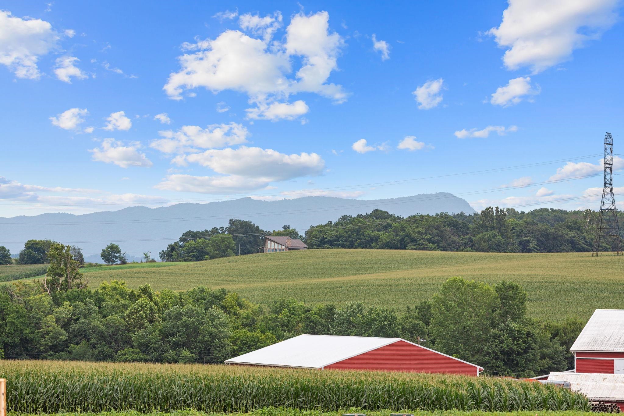 204 SCARLET MAPLE LN, BRIDGEWATER, Virginia 22812, 3 Bedrooms Bedrooms, ,2 BathroomsBathrooms,Residential,The Glen at Cooks Creek,204 SCARLET MAPLE LN,675580 MLS # 675580