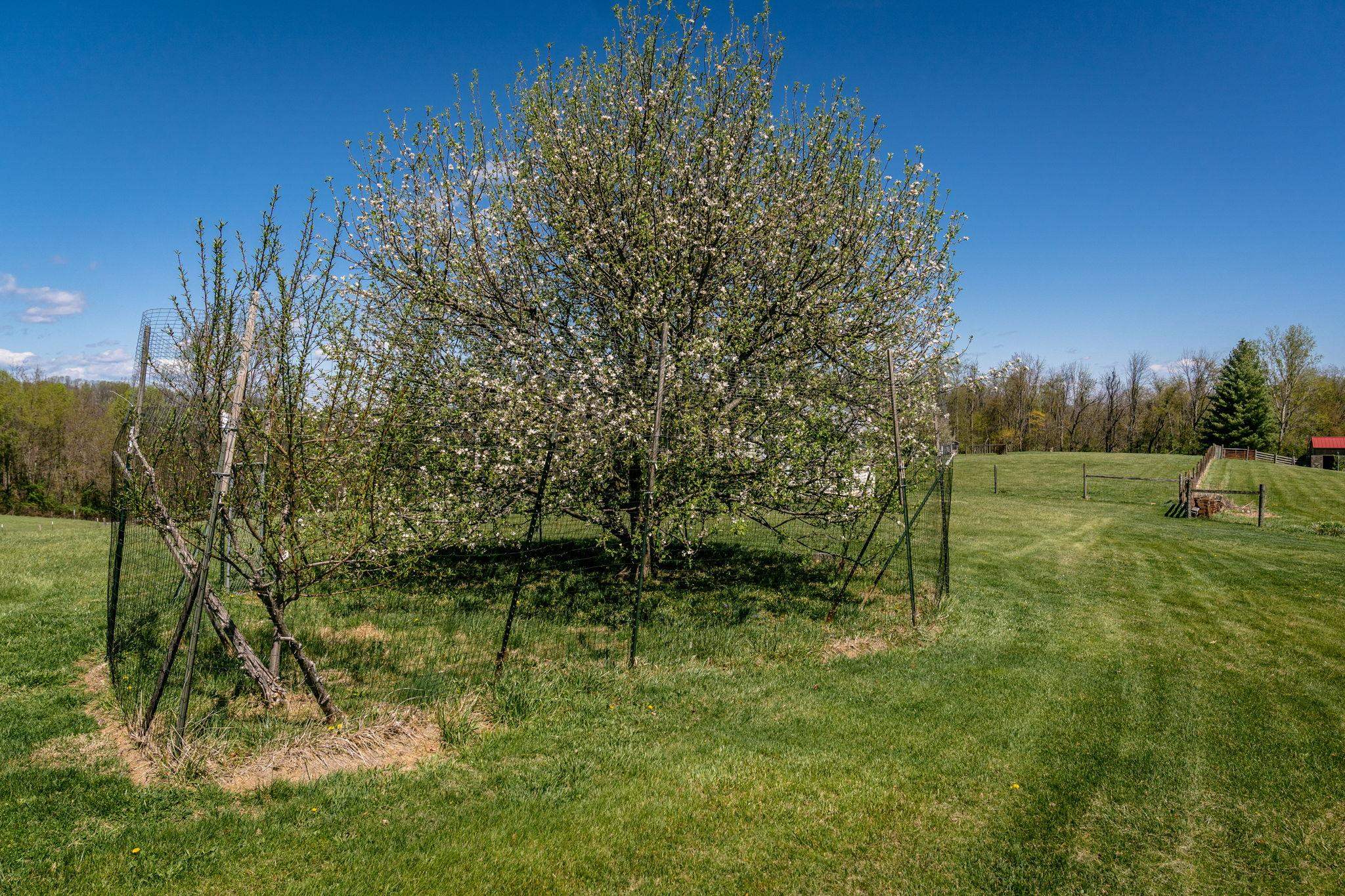 1075 CHESTNUT RIDGE RD, STAUNTON, Virginia 24401, 3 Bedrooms Bedrooms, ,2 BathroomsBathrooms,Residential,1075 CHESTNUT RIDGE RD,675592 MLS # 675592