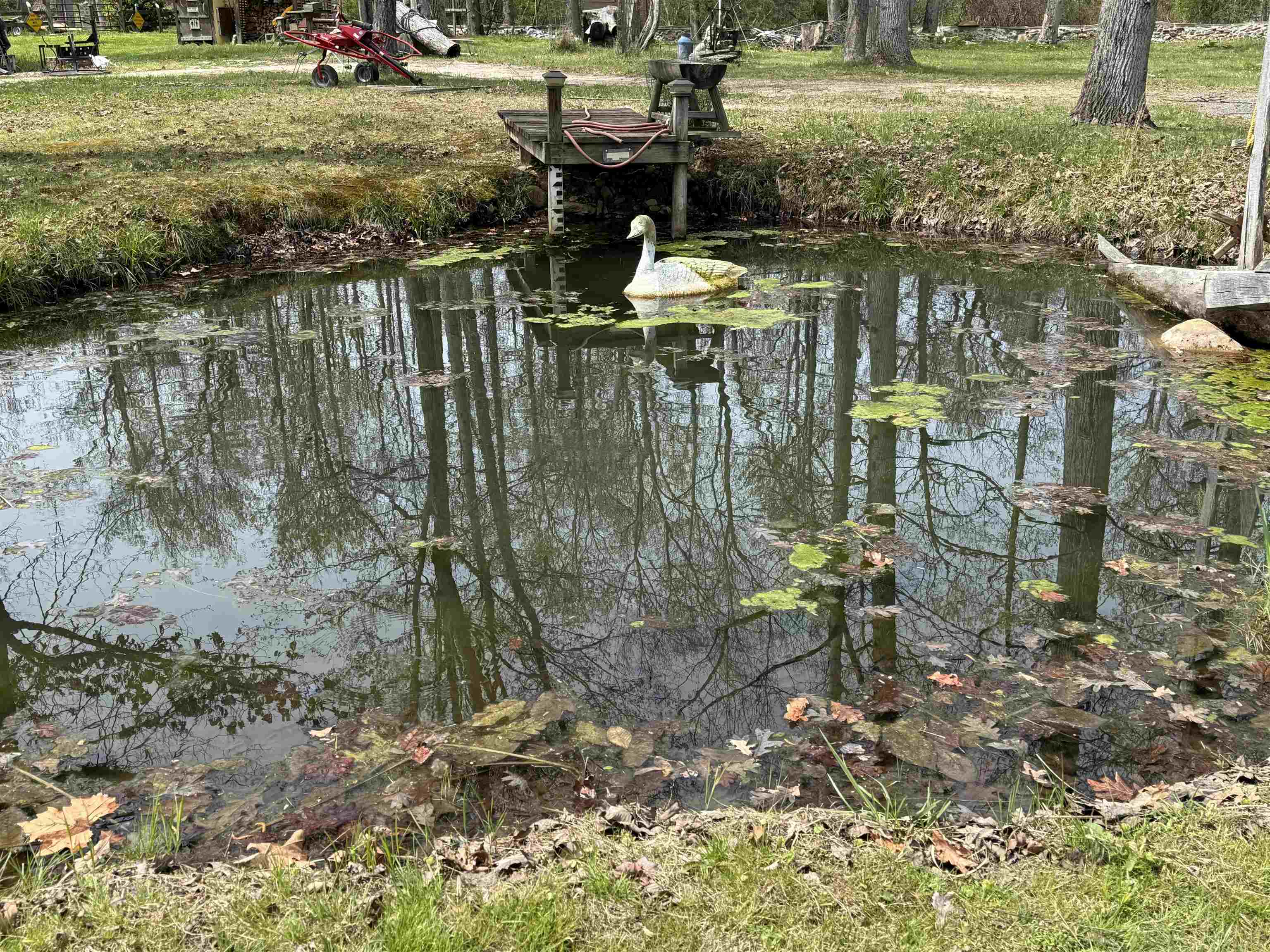 67 BOTTOM LN, LYNDHURST, Virginia 22952, 3 Bedrooms Bedrooms, ,2 BathroomsBathrooms,Residential,67 BOTTOM LN,675613 MLS # 675613