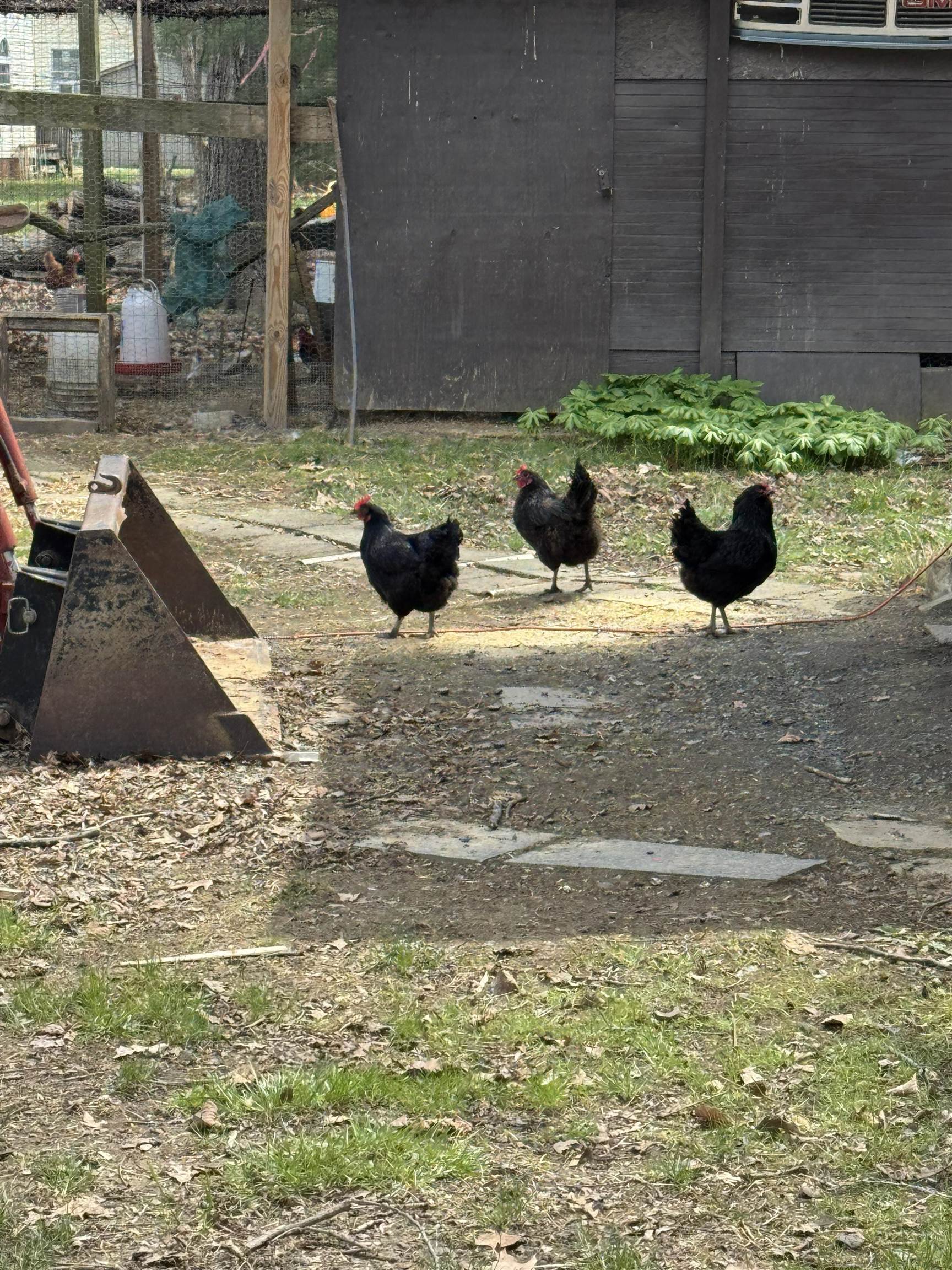 67 BOTTOM LN, LYNDHURST, Virginia 22952, 3 Bedrooms Bedrooms, ,2 BathroomsBathrooms,Residential,67 BOTTOM LN,675613 MLS # 675613