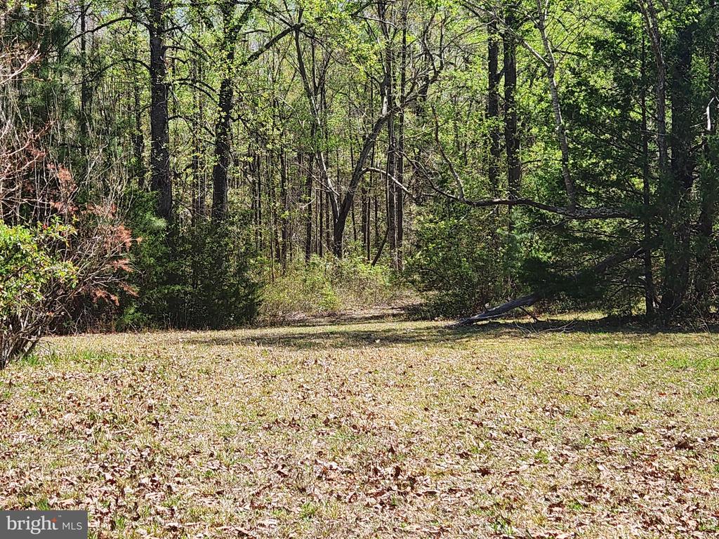 3618 JOHNSON RD, MINERAL, Virginia 23117, ,Land,3618 JOHNSON RD,VALA2009600 MLS # VALA2009600
