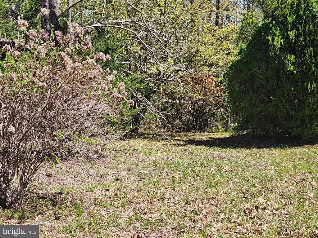 3618 JOHNSON RD, MINERAL, Virginia 23117, ,Land,3618 JOHNSON RD,VALA2009600 MLS # VALA2009600