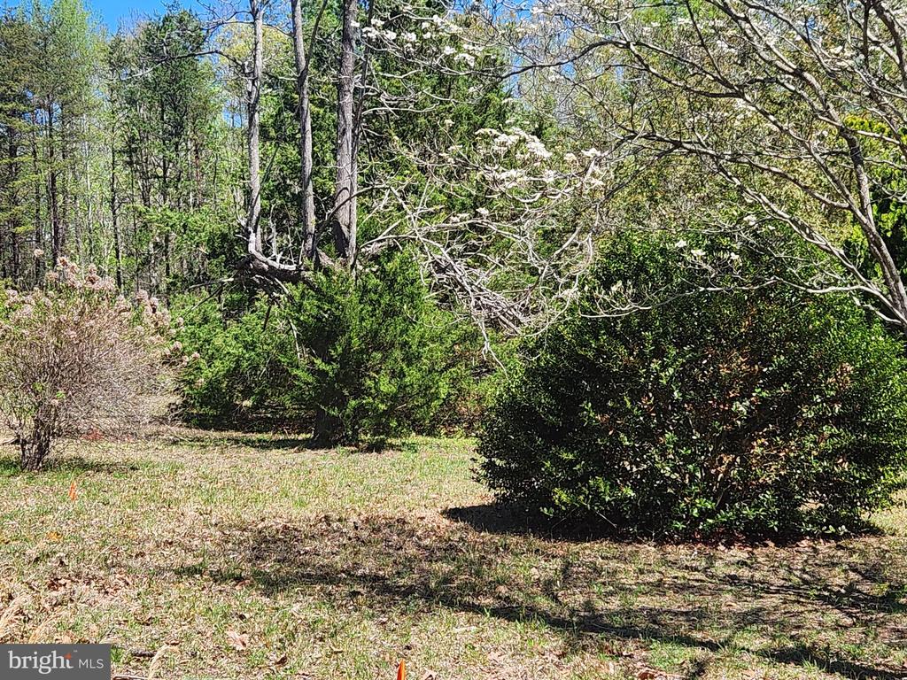 3618 JOHNSON RD, MINERAL, Virginia 23117, ,Land,3618 JOHNSON RD,VALA2009600 MLS # VALA2009600