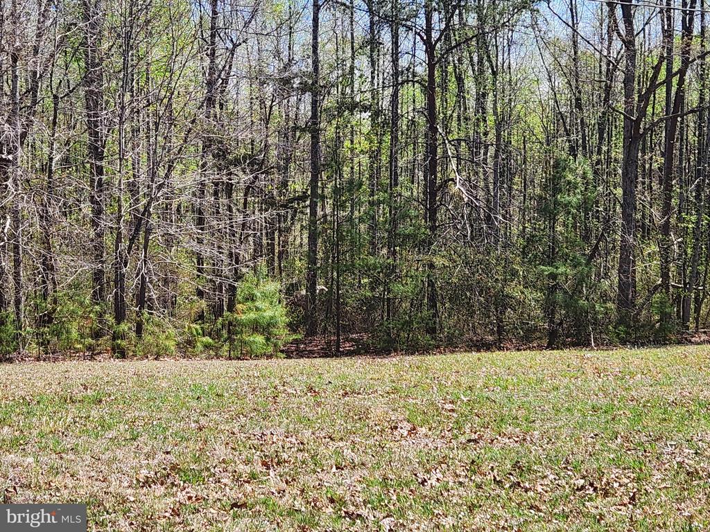 3618 JOHNSON RD, MINERAL, Virginia 23117, ,Land,3618 JOHNSON RD,VALA2009600 MLS # VALA2009600