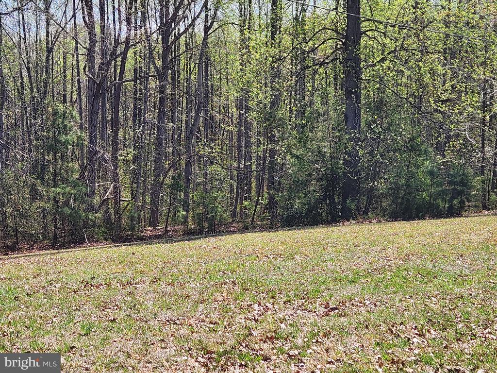 3618 JOHNSON RD, MINERAL, Virginia 23117, ,Land,3618 JOHNSON RD,VALA2009600 MLS # VALA2009600