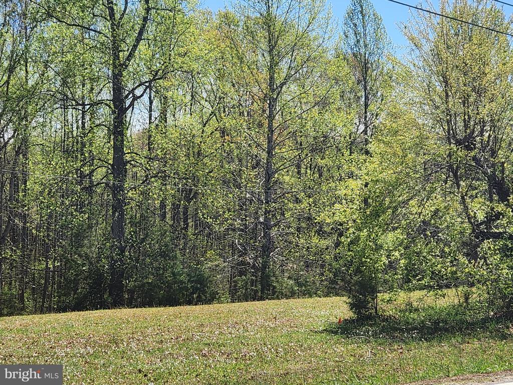 3618 JOHNSON RD, MINERAL, Virginia 23117, ,Land,3618 JOHNSON RD,VALA2009600 MLS # VALA2009600