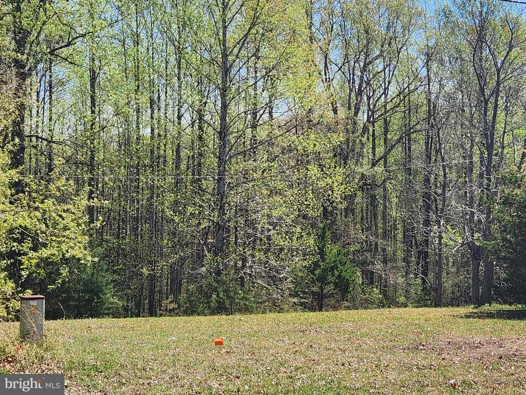 3618 JOHNSON RD, MINERAL, Virginia 23117, ,Land,3618 JOHNSON RD,VALA2009600 MLS # VALA2009600