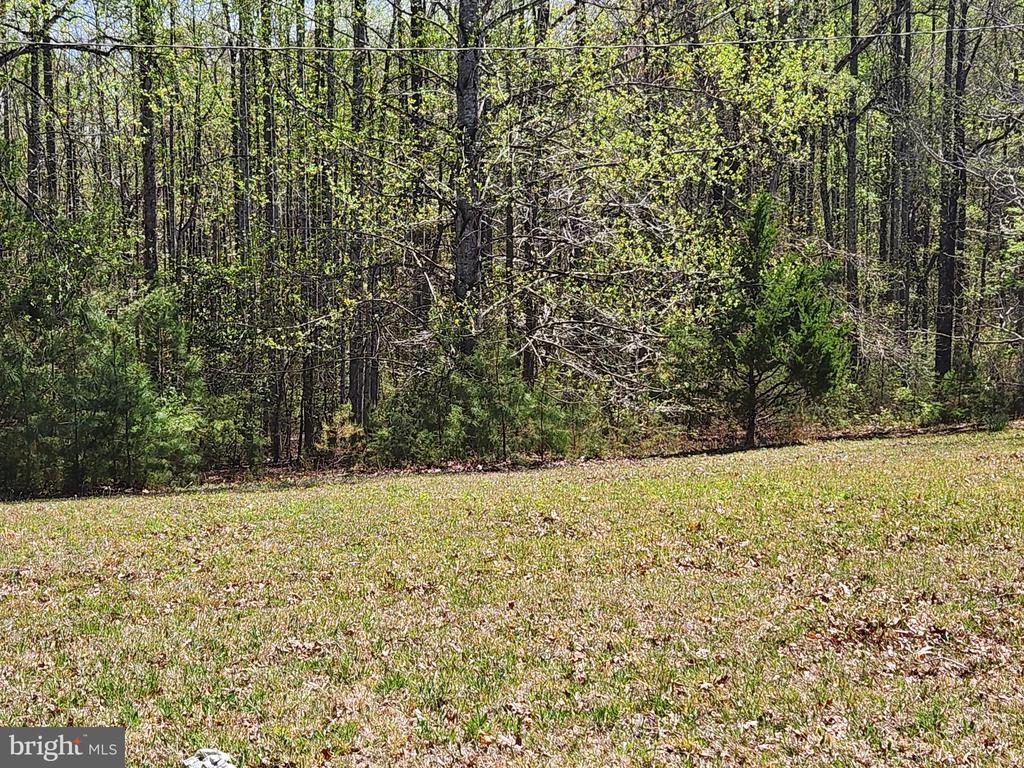 3618 JOHNSON RD, MINERAL, Virginia 23117, ,Land,3618 JOHNSON RD,VALA2009600 MLS # VALA2009600
