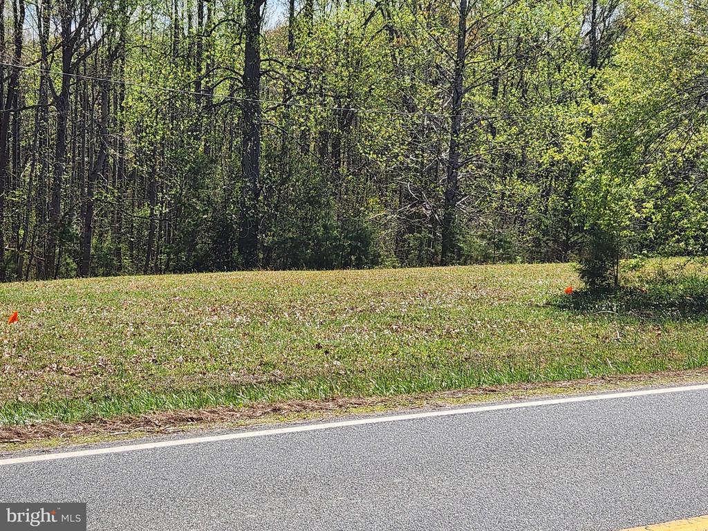 3618 JOHNSON RD, MINERAL, Virginia 23117, ,Land,3618 JOHNSON RD,VALA2009600 MLS # VALA2009600