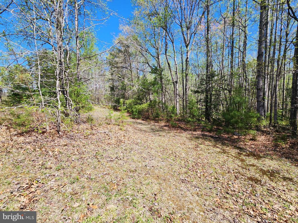 3618 JOHNSON RD, MINERAL, Virginia 23117, ,Land,3618 JOHNSON RD,VALA2009600 MLS # VALA2009600