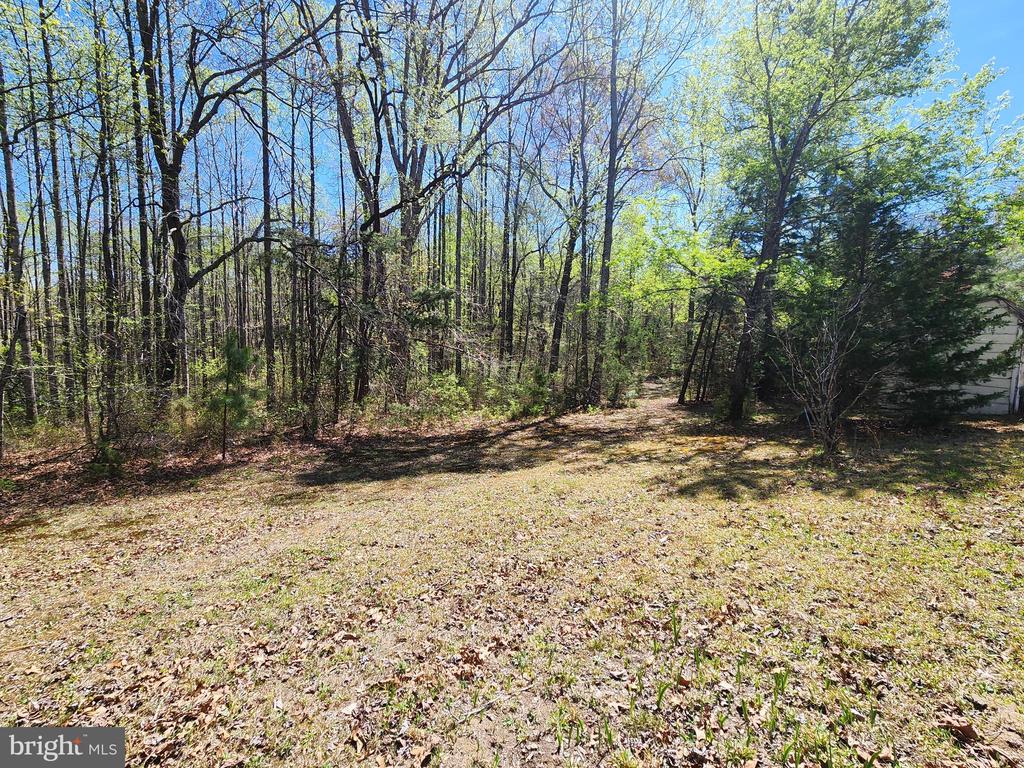 3618 JOHNSON RD, MINERAL, Virginia 23117, ,Land,3618 JOHNSON RD,VALA2009600 MLS # VALA2009600