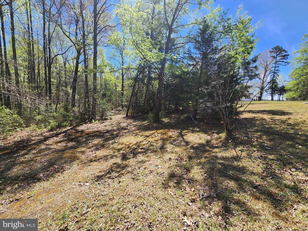3618 JOHNSON RD, MINERAL, Virginia 23117, ,Land,3618 JOHNSON RD,VALA2009600 MLS # VALA2009600