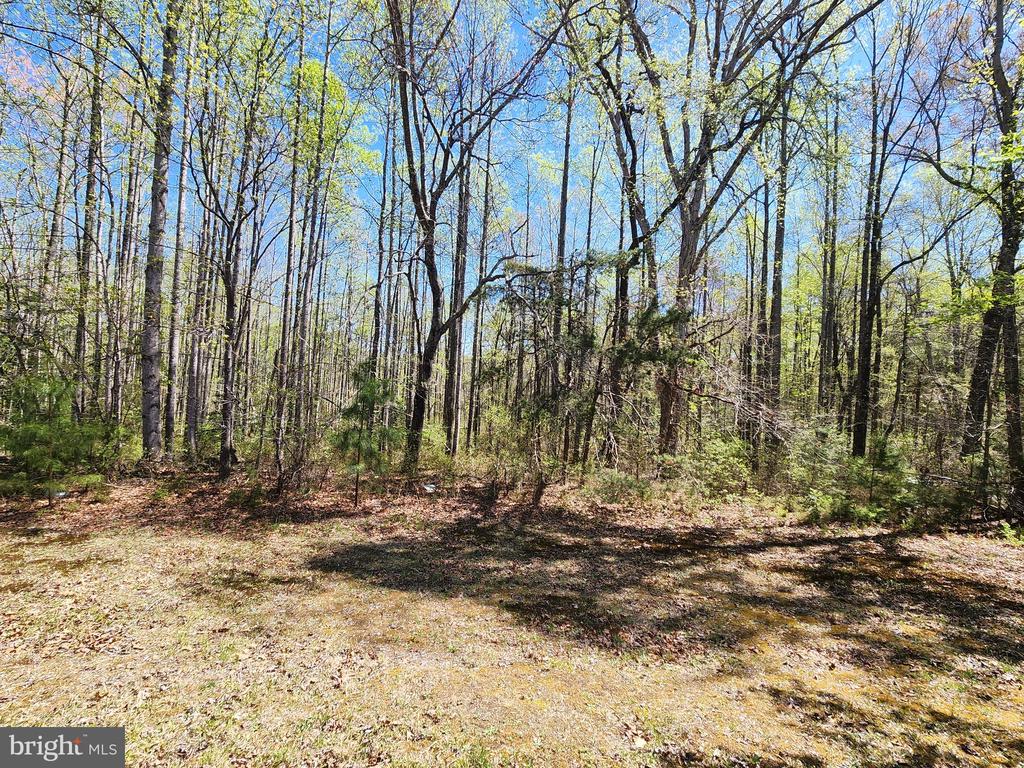 3618 JOHNSON RD, MINERAL, Virginia 23117, ,Land,3618 JOHNSON RD,VALA2009600 MLS # VALA2009600