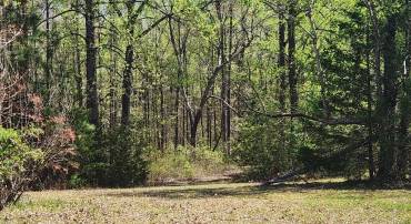 3618 JOHNSON RD, MINERAL, Virginia 23117, ,Land,3618 JOHNSON RD,VALA2009600 MLS # VALA2009600