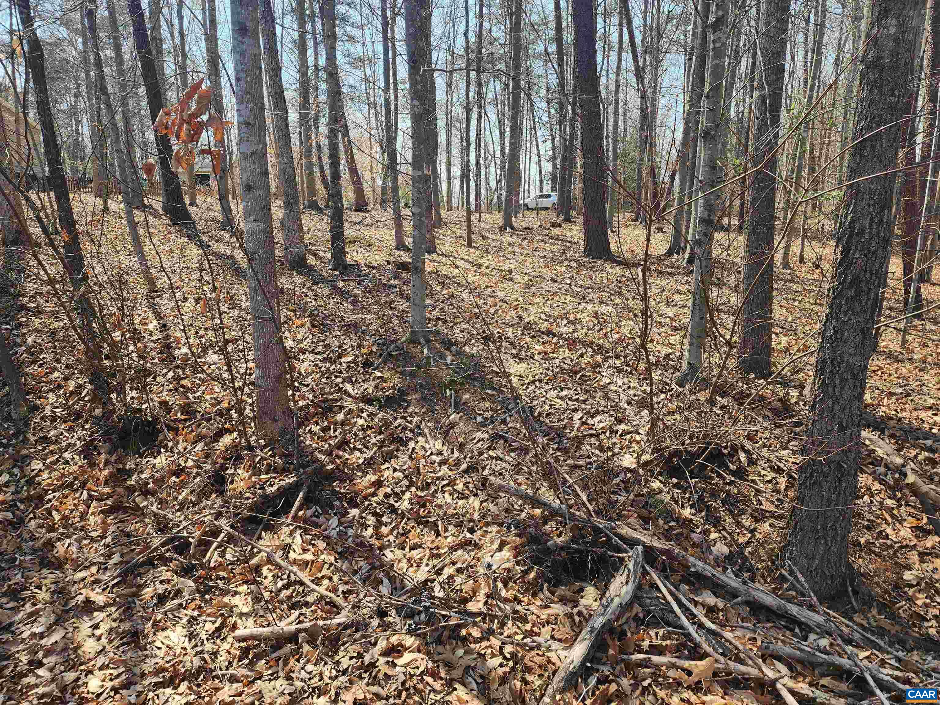 28 JENNINGS DR, PALMYRA, Virginia 22963, ,Land,28 JENNINGS DR,675632 MLS # 675632