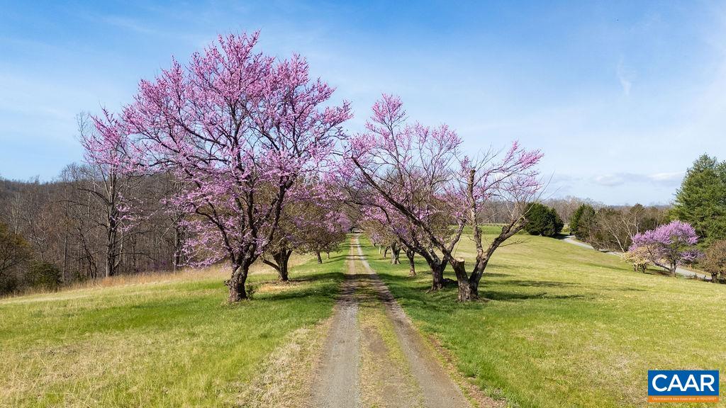 Lot 17R MIMOSA LN, FABER, Virginia 22938, ,Land,Lot 17R MIMOSA LN,675635 MLS # 675635