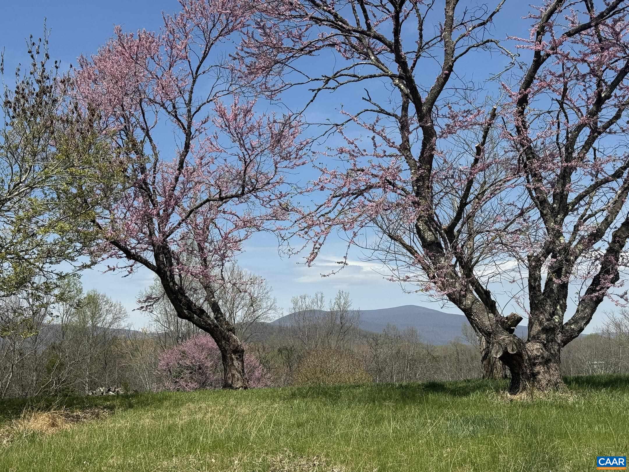 Lot 17R MIMOSA LN, FABER, Virginia 22938, ,Land,Lot 17R MIMOSA LN,675635 MLS # 675635 Lot 17R MIMOSA LN, FABER, Virginia 22938, ,Land,Lot 17R MIMOSA LN,675635 MLS # 675635