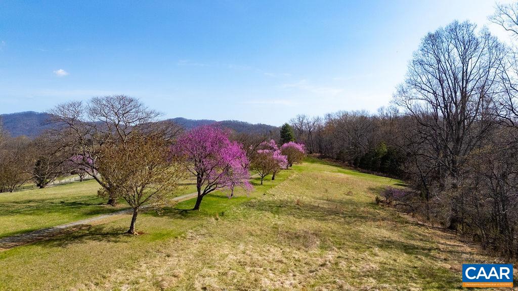 Lot 17R MIMOSA LN, FABER, Virginia 22938, ,Land,Lot 17R MIMOSA LN,675635 MLS # 675635 Lot 17R MIMOSA LN, FABER, Virginia 22938, ,Land,Lot 17R MIMOSA LN,675635 MLS # 675635