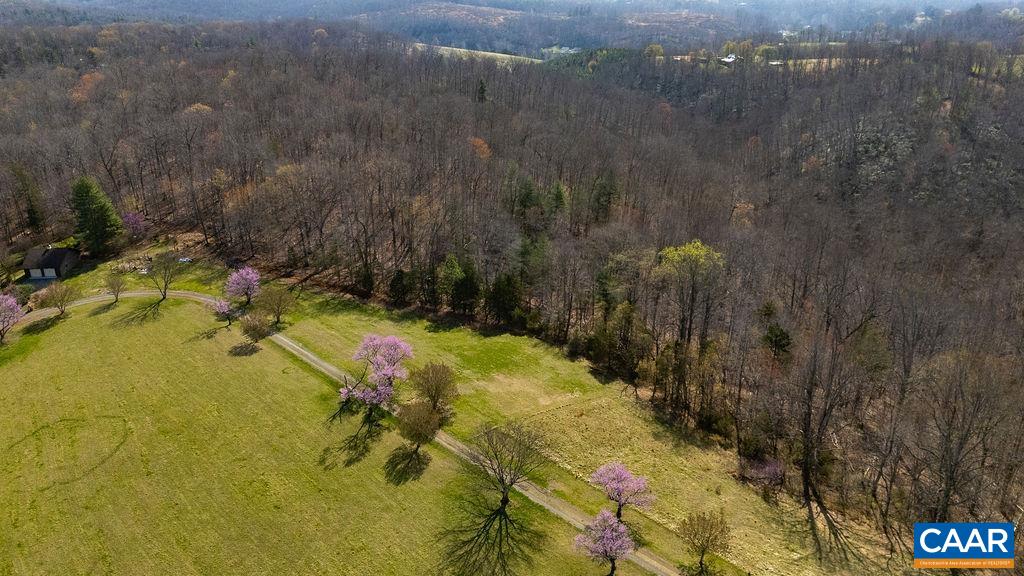 Lot 17R MIMOSA LN, FABER, Virginia 22938, ,Land,Lot 17R MIMOSA LN,675635 MLS # 675635 Lot 17R MIMOSA LN, FABER, Virginia 22938, ,Land,Lot 17R MIMOSA LN,675635 MLS # 675635