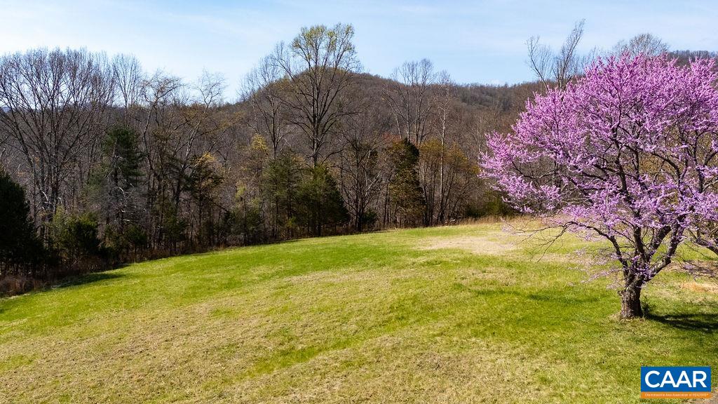 Lot 17R MIMOSA LN, FABER, Virginia 22938, ,Land,Lot 17R MIMOSA LN,675635 MLS # 675635 Lot 17R MIMOSA LN, FABER, Virginia 22938, ,Land,Lot 17R MIMOSA LN,675635 MLS # 675635