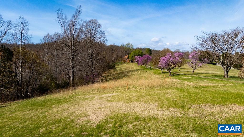 Lot 17R MIMOSA LN, FABER, Virginia 22938, ,Land,Lot 17R MIMOSA LN,675635 MLS # 675635 Lot 17R MIMOSA LN, FABER, Virginia 22938, ,Land,Lot 17R MIMOSA LN,675635 MLS # 675635