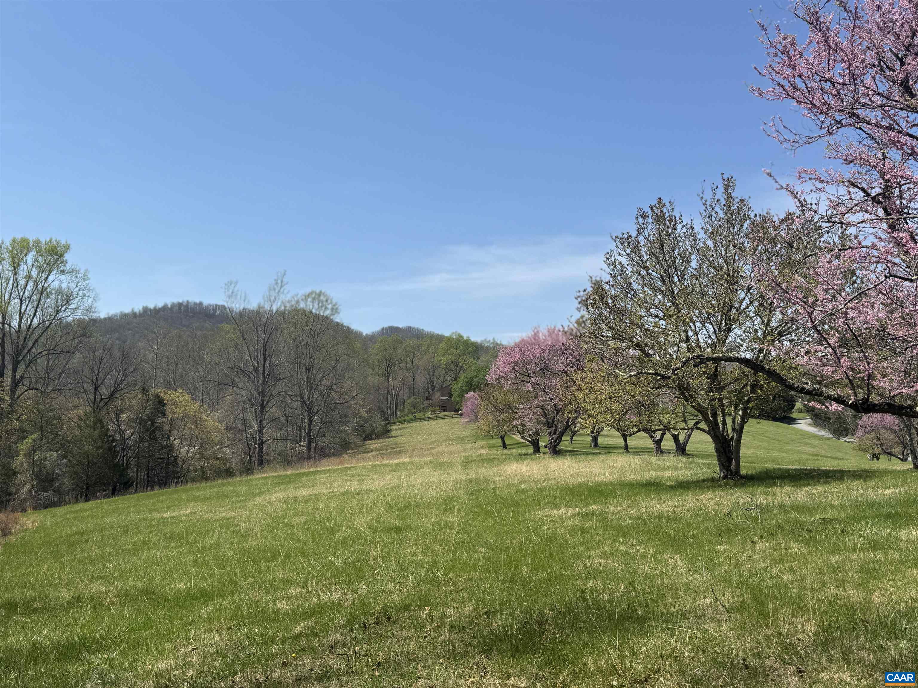 Lot 17R MIMOSA LN, FABER, Virginia 22938, ,Land,Lot 17R MIMOSA LN,675635 MLS # 675635 Lot 17R MIMOSA LN, FABER, Virginia 22938, ,Land,Lot 17R MIMOSA LN,675635 MLS # 675635