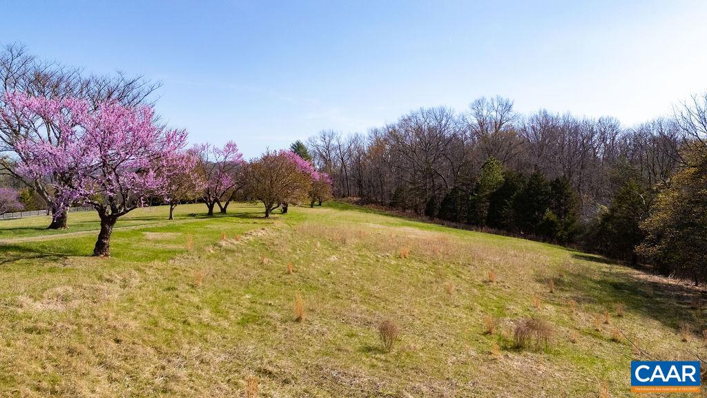 Lot 17R MIMOSA LN, FABER, Virginia 22938, ,Land,Lot 17R MIMOSA LN,675635 MLS # 675635 Lot 17R MIMOSA LN, FABER, Virginia 22938, ,Land,Lot 17R MIMOSA LN,675635 MLS # 675635