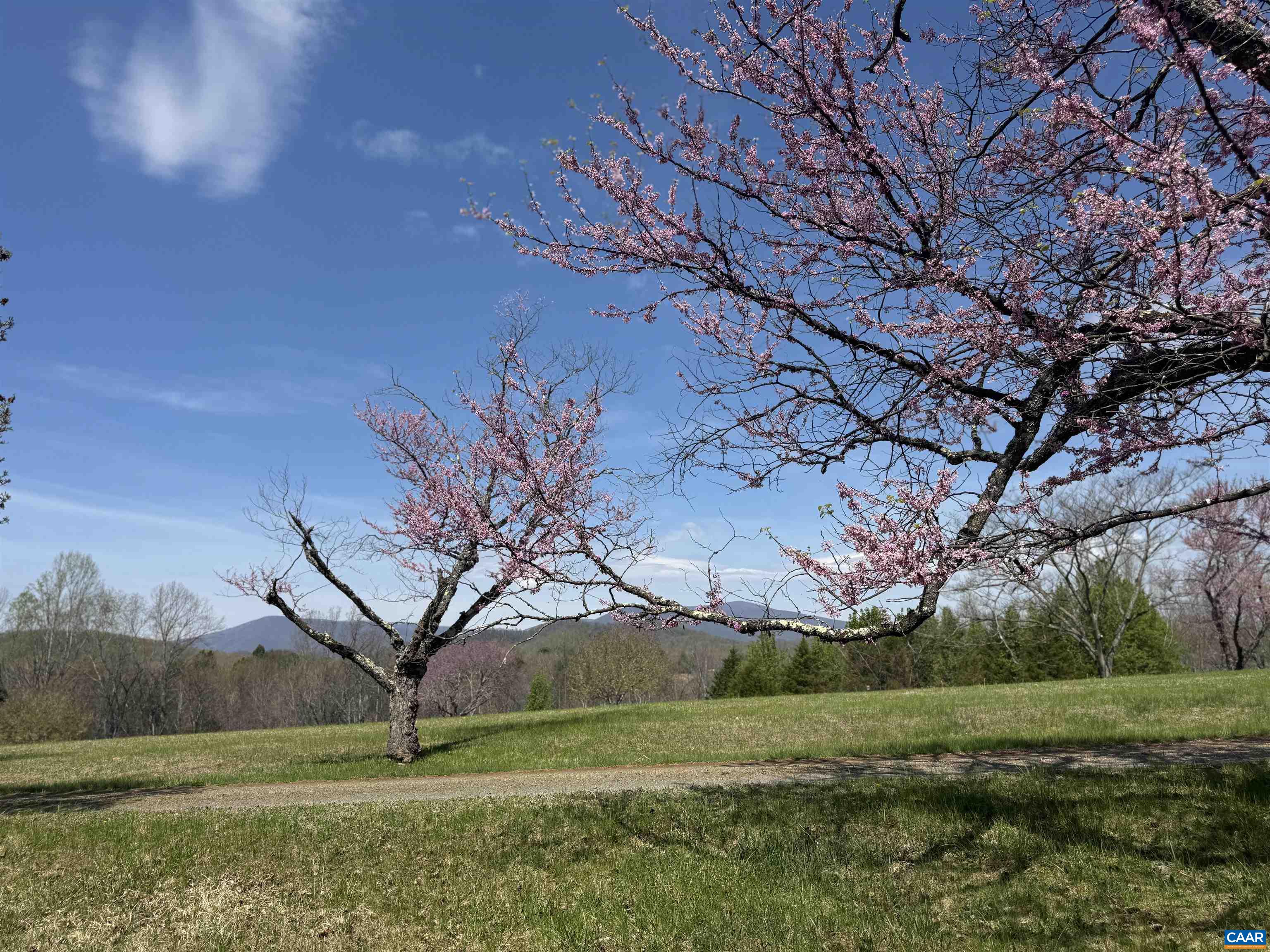 Lot 17R MIMOSA LN, FABER, Virginia 22938, ,Land,Lot 17R MIMOSA LN,675635 MLS # 675635 Lot 17R MIMOSA LN, FABER, Virginia 22938, ,Land,Lot 17R MIMOSA LN,675635 MLS # 675635