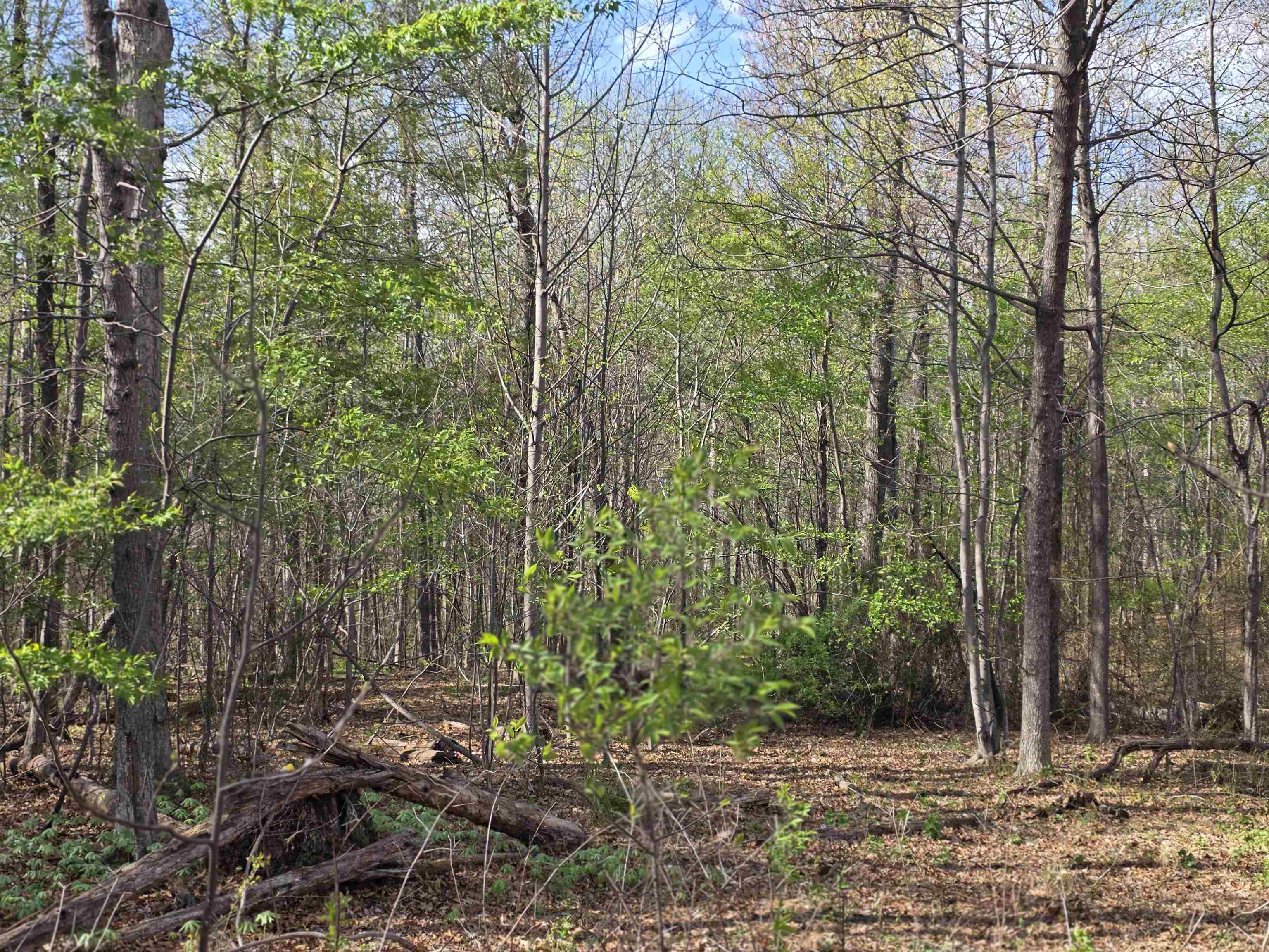 TBD N SCENIC HWY, CHURCHVILLE, Virginia 24421, ,Land,TBD N SCENIC HWY,675647 MLS # 675647