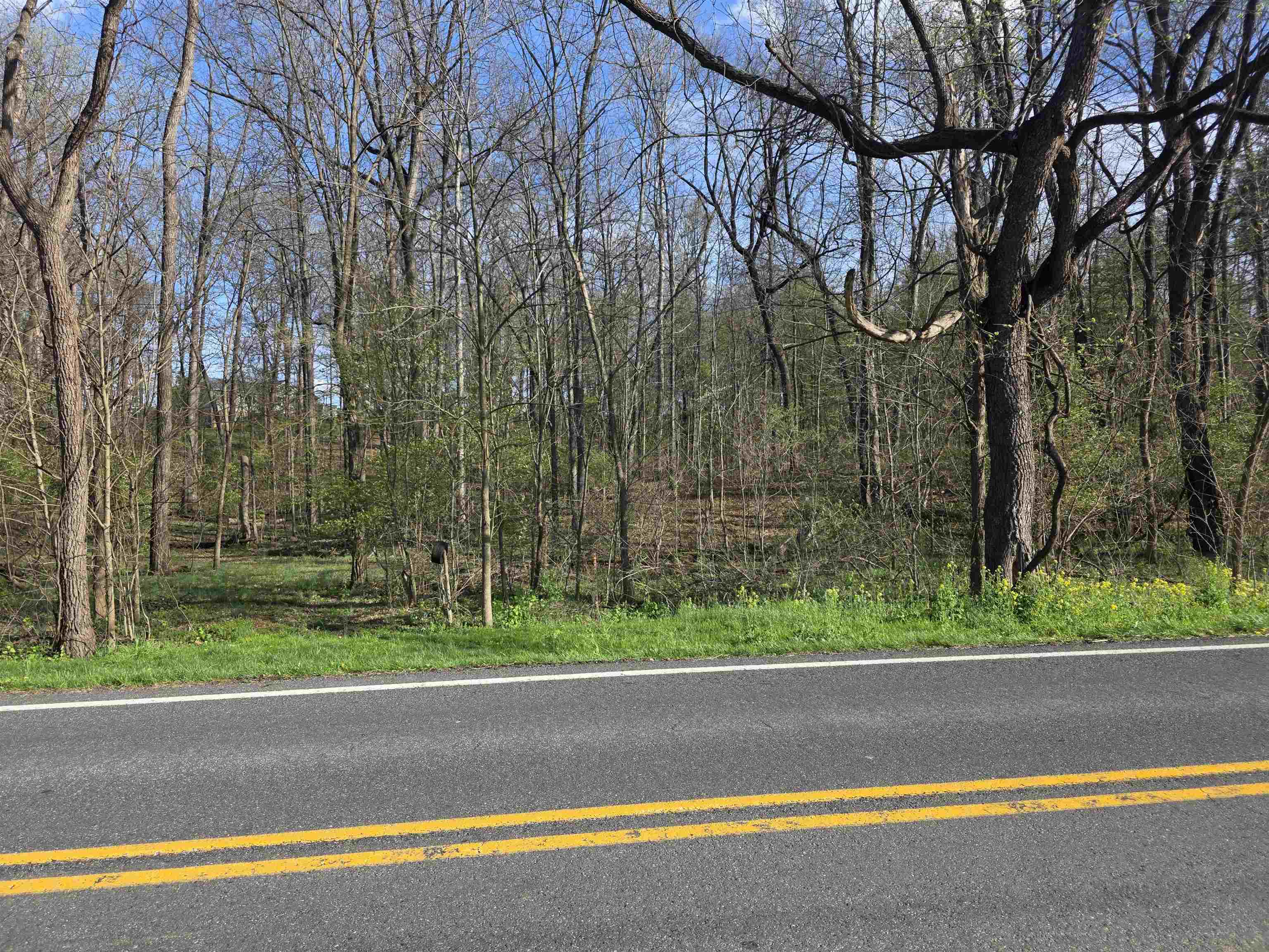 TBD N SCENIC HWY, CHURCHVILLE, Virginia 24421, ,Land,TBD N SCENIC HWY,675647 MLS # 675647