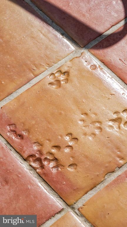 4094 WHITING RD, MARSHALL, Virginia, 3 Bedrooms Bedrooms, ,2 BathroomsBathrooms,Residential,4094 WHITING RD,VAFQ2021244 MLS # VAFQ2021244