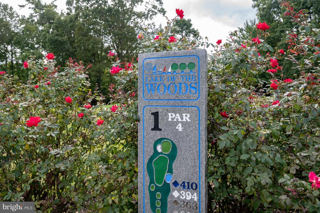 205 MONUMENT RD, LOCUST GROVE, Virginia 22508, 3 Bedrooms Bedrooms, ,1 BathroomBathrooms,Residential,205 MONUMENT RD,VAOR2013786 MLS # VAOR2013786