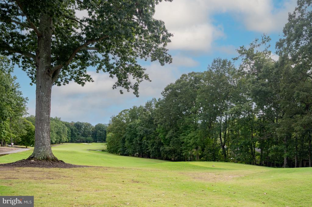 205 MONUMENT RD, LOCUST GROVE, Virginia 22508, 3 Bedrooms Bedrooms, ,1 BathroomBathrooms,Residential,205 MONUMENT RD,VAOR2013786 MLS # VAOR2013786