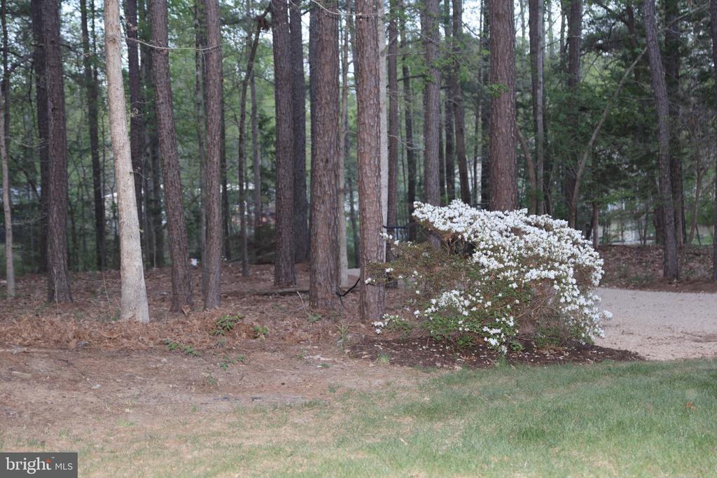32 MILTONS LN, LOUISA, Virginia 23093, 4 Bedrooms Bedrooms, ,2 BathroomsBathrooms,Residential,32 MILTONS LN,VALA2009612 MLS # VALA2009612