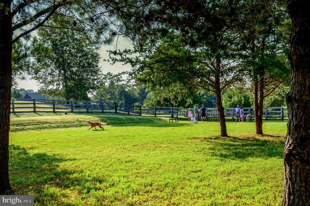 11517 OSPREY TRL, SPOTSYLVANIA, Virginia 22551, 3 Bedrooms Bedrooms, ,2 BathroomsBathrooms,Residential,11517 OSPREY TRL,VASP2040686 MLS # VASP2040686