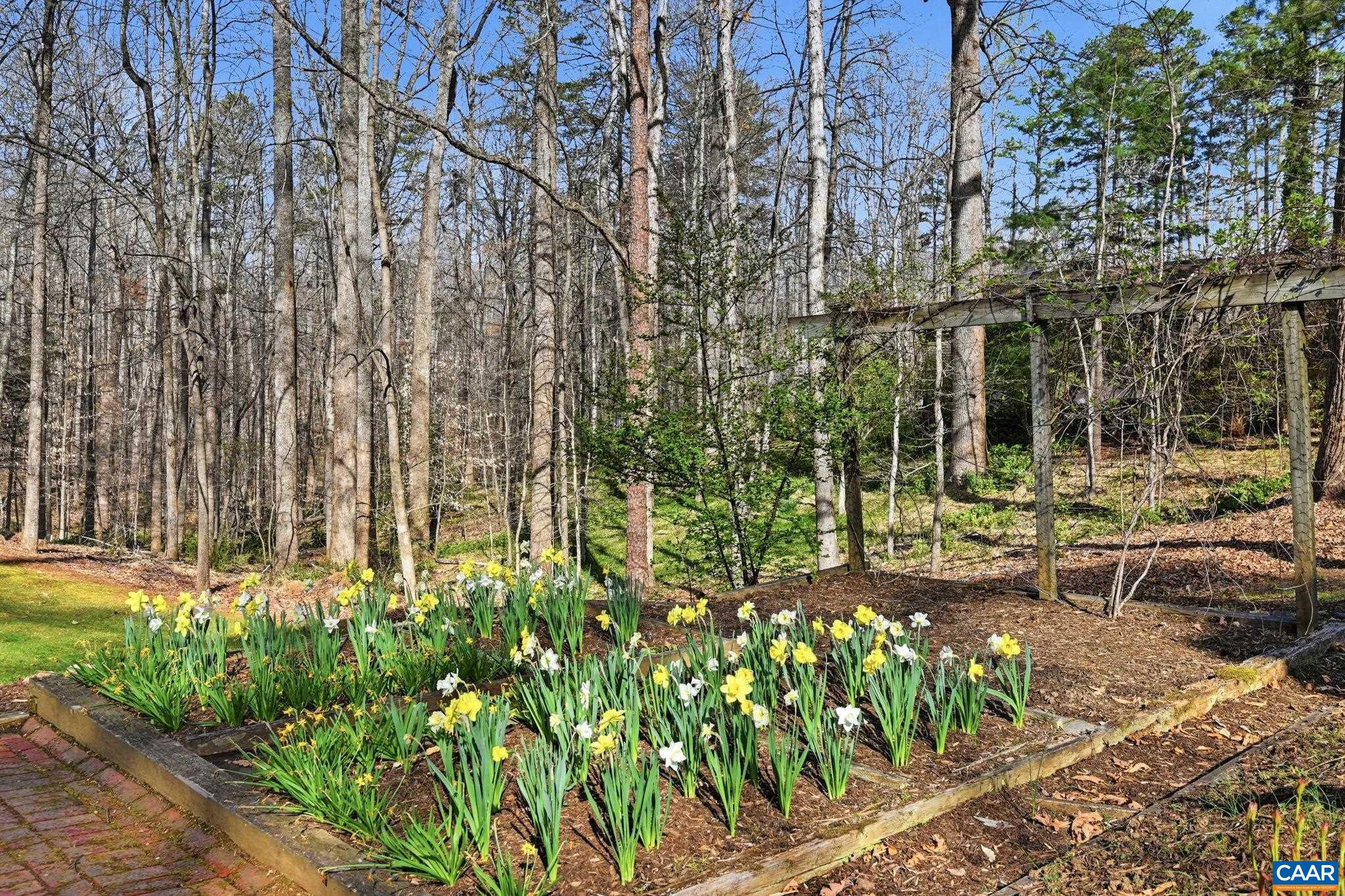 2404 PINE GARTH RUN, CHARLOTTESVILLE, Virginia 22901, 5 Bedrooms Bedrooms, ,4 BathroomsBathrooms,Residential,2404 PINE GARTH RUN,675212 MLS # 675212