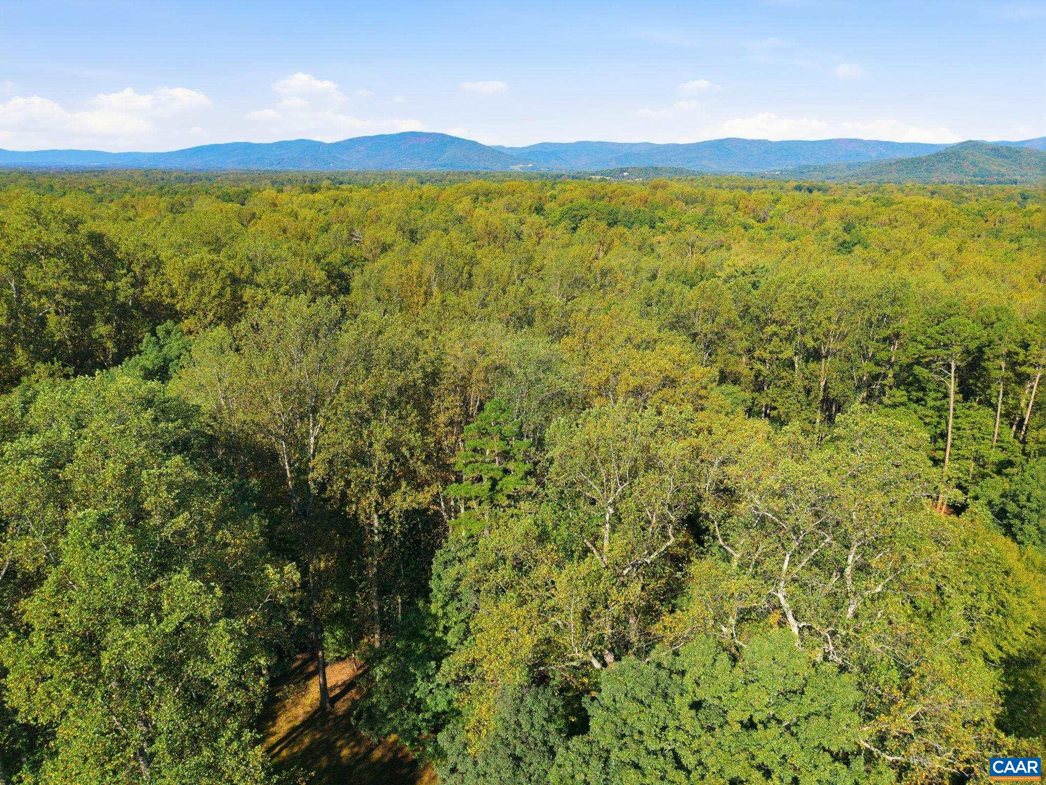 2404 PINE GARTH RUN, CHARLOTTESVILLE, Virginia 22901, 5 Bedrooms Bedrooms, ,4 BathroomsBathrooms,Residential,2404 PINE GARTH RUN,675212 MLS # 675212