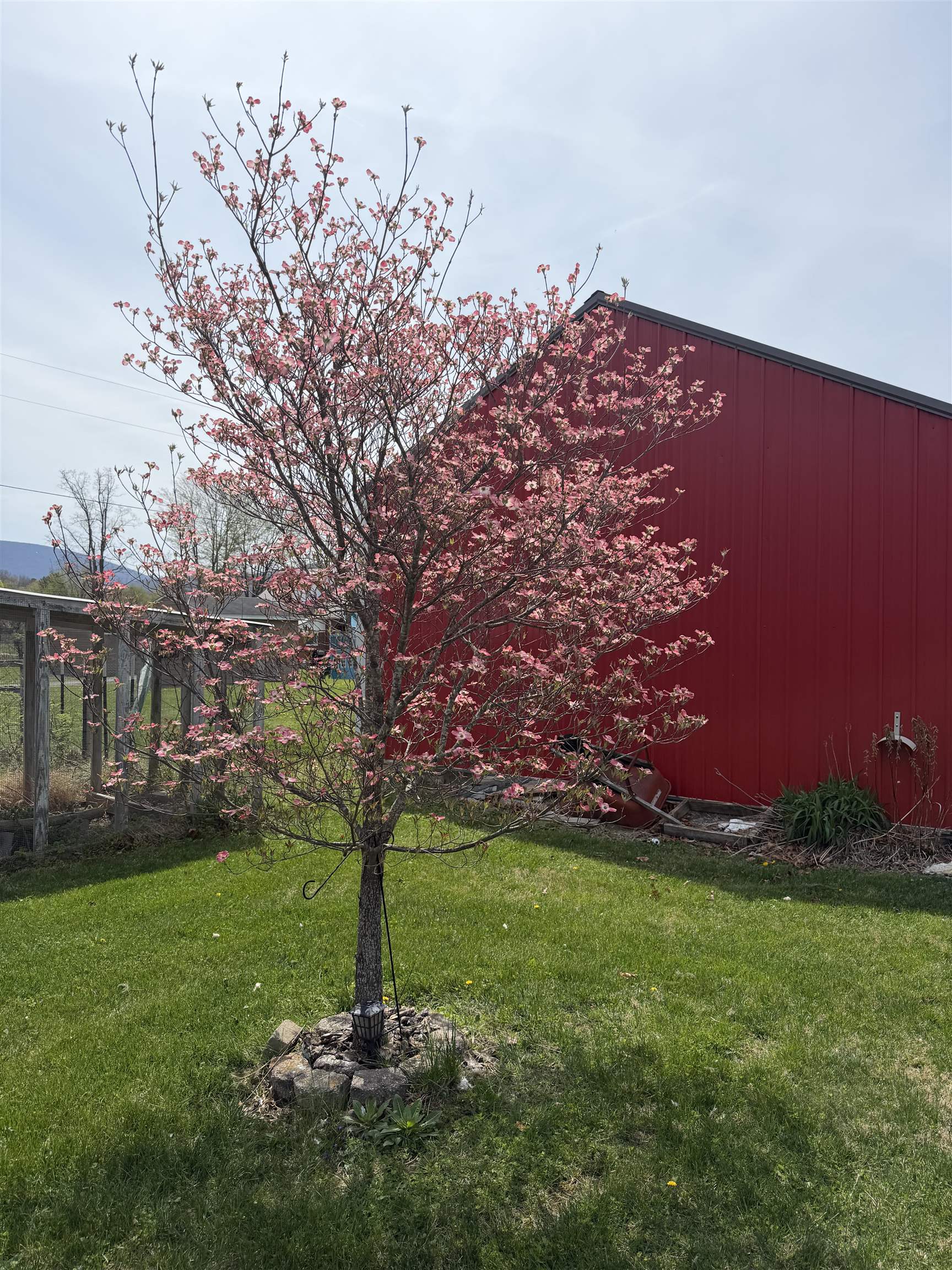 1582 HOWARDSVILLE TPKE, STUARTS DRAFT, Virginia 24477, 2 Bedrooms Bedrooms, ,2 BathroomsBathrooms,Residential,1582 HOWARDSVILLE TPKE,675625 MLS # 675625 1582 HOWARDSVILLE TPKE, STUARTS DRAFT, Virginia 24477, 2 Bedrooms Bedrooms, ,2 BathroomsBathrooms,Residential,1582 HOWARDSVILLE TPKE,675625 MLS # 675625