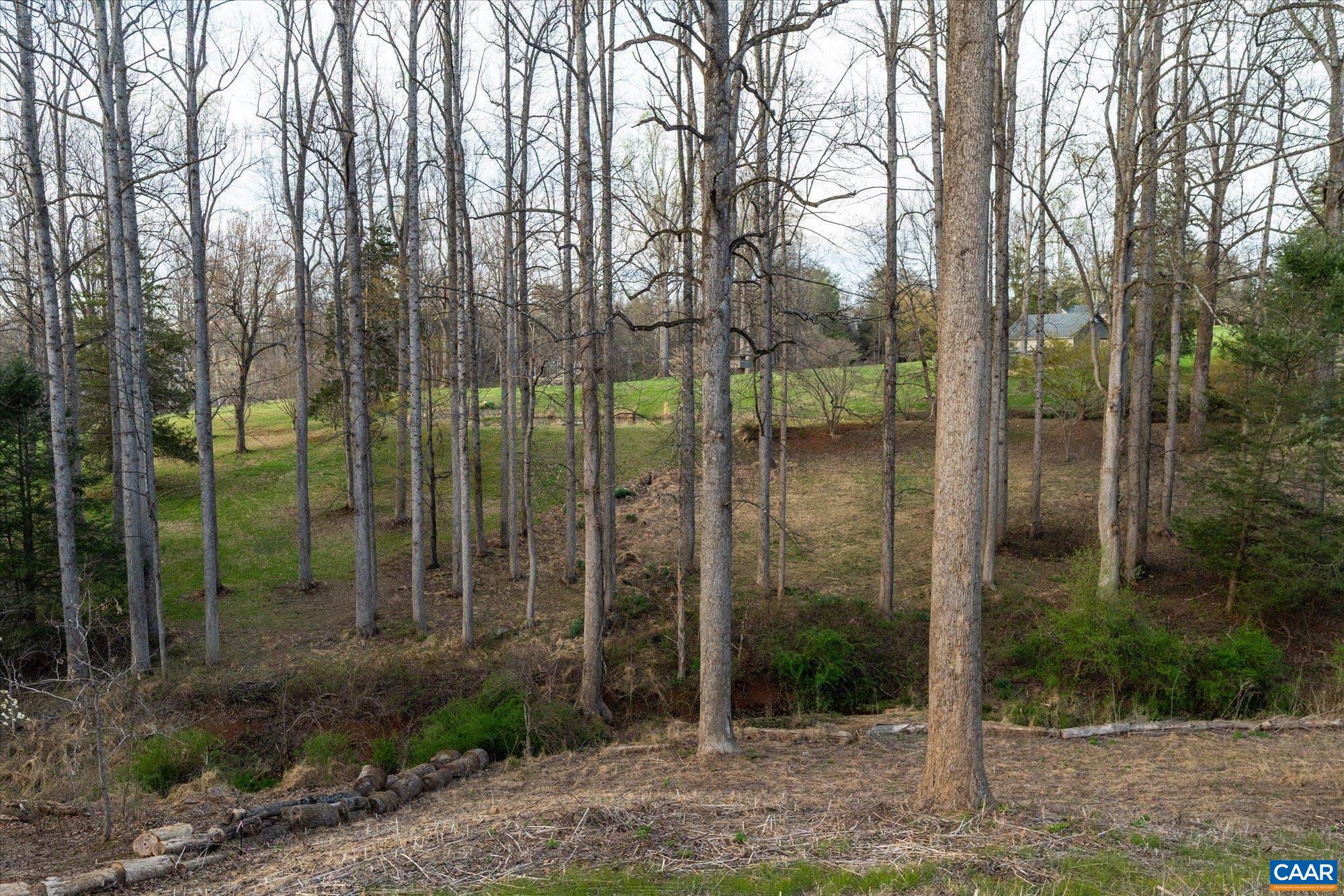 1525 BROOK HILL LN, CHARLOTTESVILLE, Virginia 22901, 4 Bedrooms Bedrooms, ,5 BathroomsBathrooms,Residential,1525 BROOK HILL LN,675628 MLS # 675628