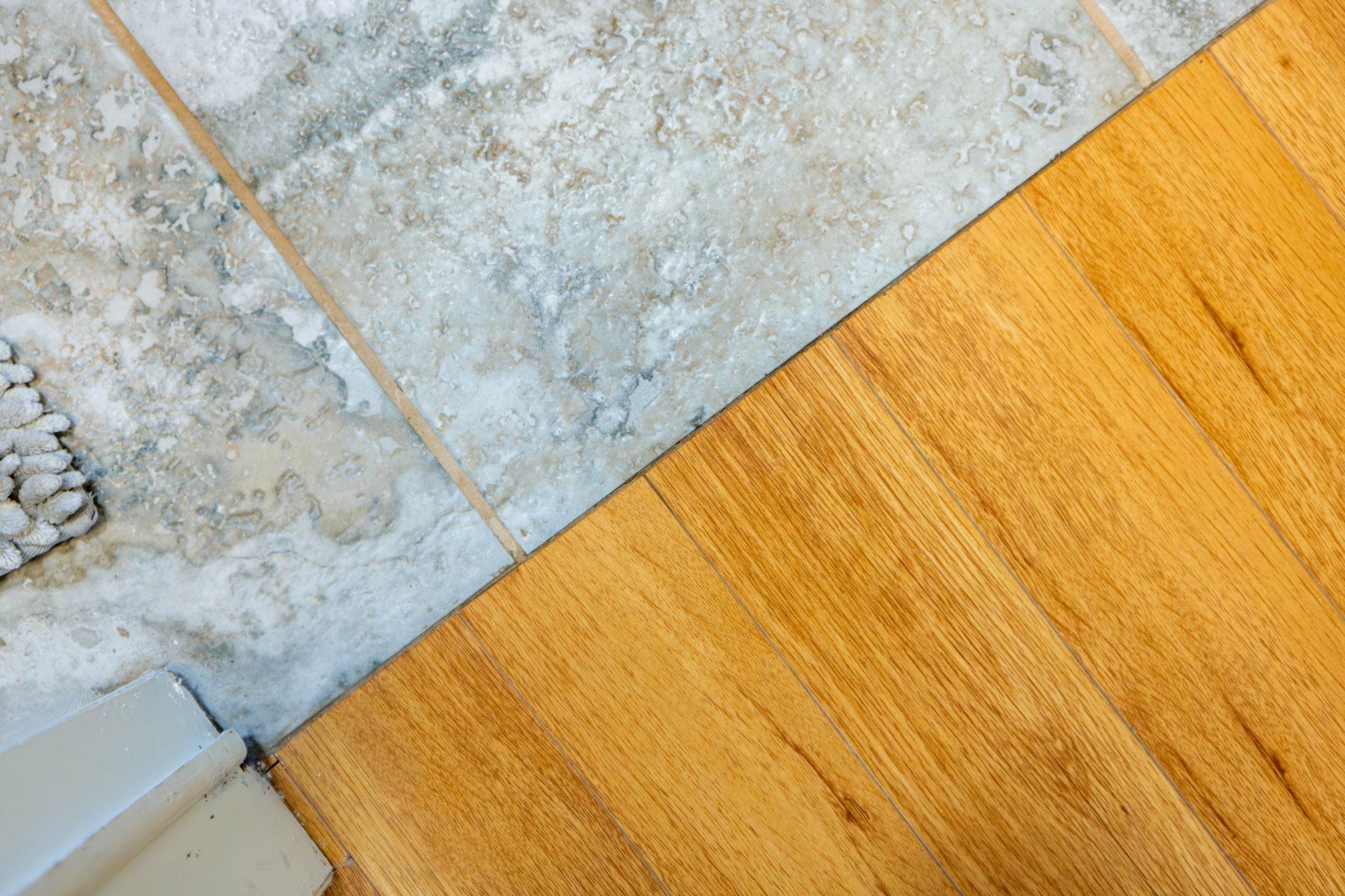 16 BALL DIAMOND TRL, VESUVIUS, Virginia 24483, 3 Bedrooms Bedrooms, ,2 BathroomsBathrooms,Residential,16 BALL DIAMOND TRL,675630 MLS # 675630 16 BALL DIAMOND TRL, VESUVIUS, Virginia 24483, 3 Bedrooms Bedrooms, ,2 BathroomsBathrooms,Residential,16 BALL DIAMOND TRL,675630 MLS # 675630