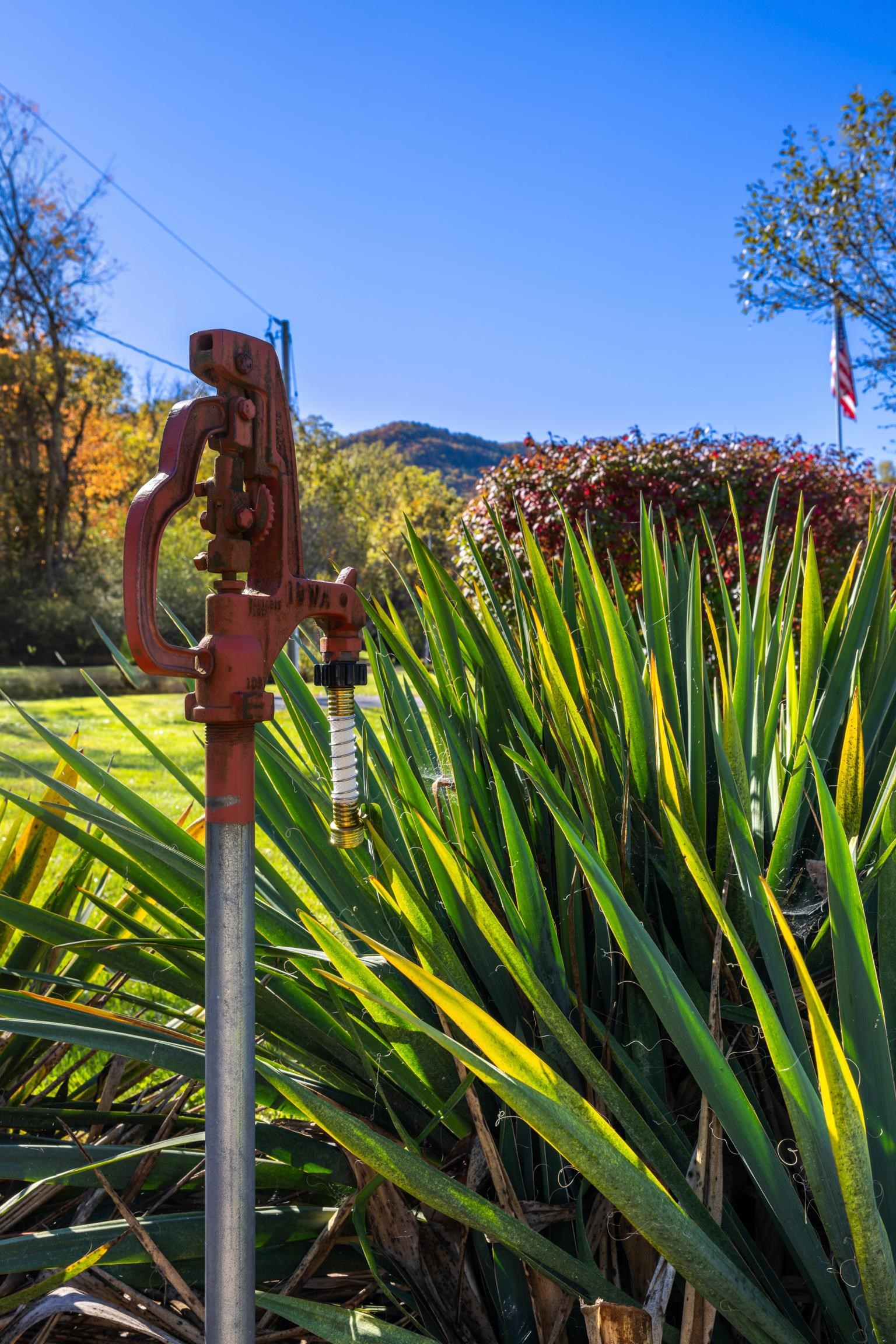 16 BALL DIAMOND TRL, VESUVIUS, Virginia 24483, 3 Bedrooms Bedrooms, ,2 BathroomsBathrooms,Residential,16 BALL DIAMOND TRL,675630 MLS # 675630 16 BALL DIAMOND TRL, VESUVIUS, Virginia 24483, 3 Bedrooms Bedrooms, ,2 BathroomsBathrooms,Residential,16 BALL DIAMOND TRL,675630 MLS # 675630